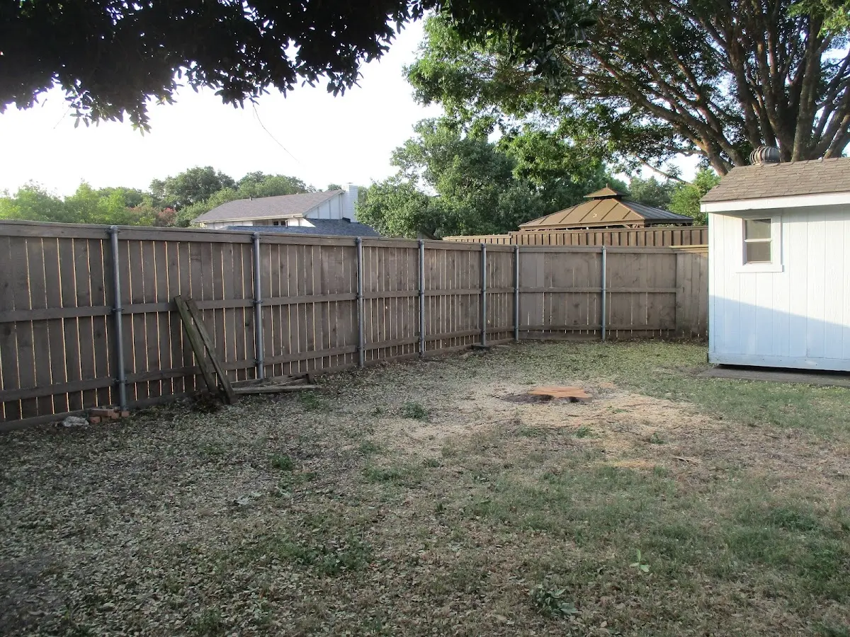 Cleared yard after professional tree removal in Uniondale